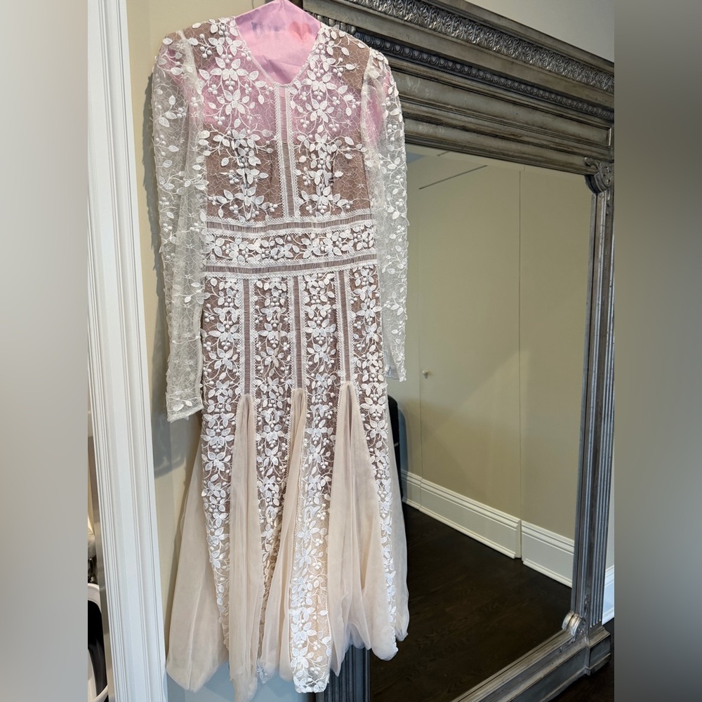 Bronx & Banco Ivory Lace Embroidered Tulle Gown